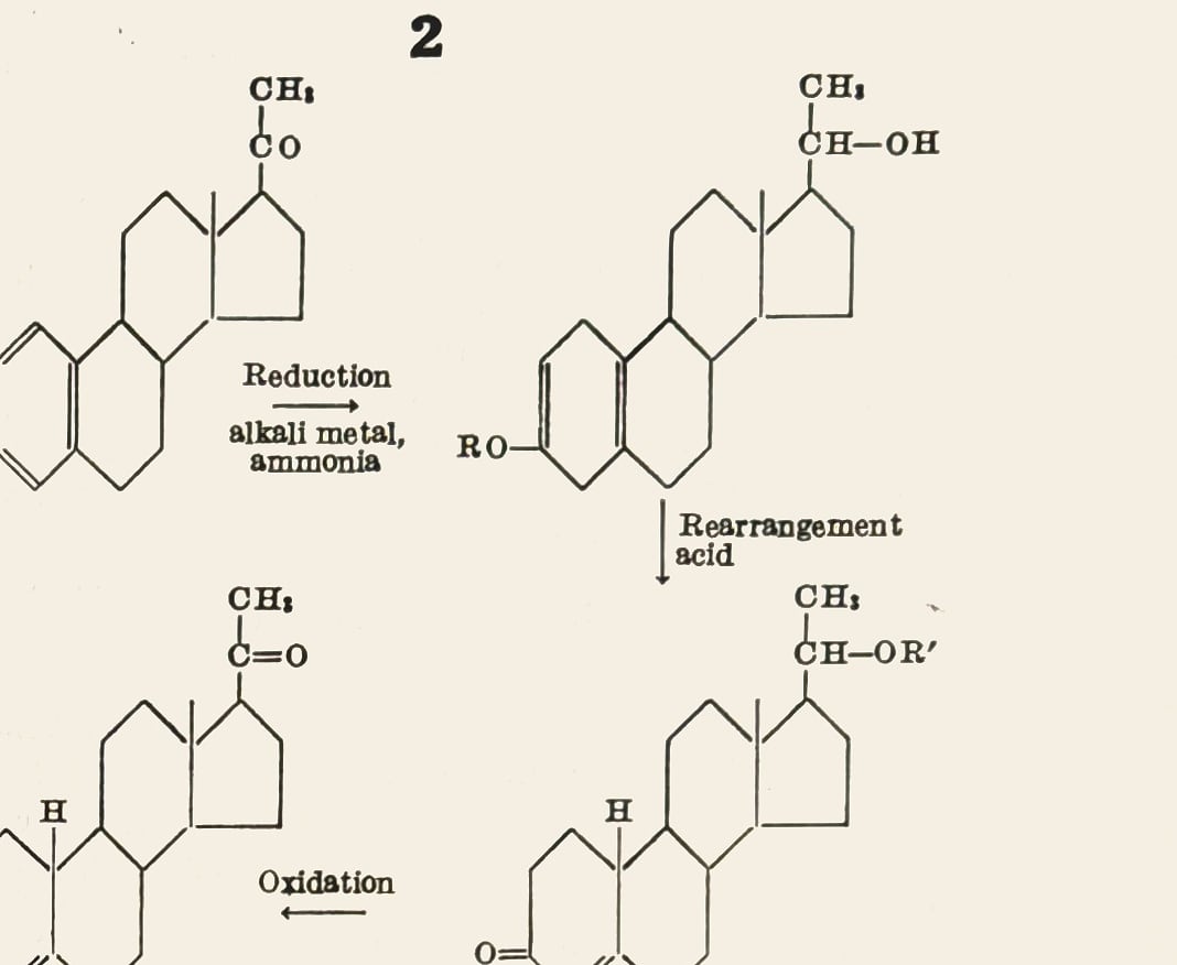 Detail of US 2,759,951: the four steroid structural formulas of the reaction scheme